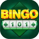 Bingo 101